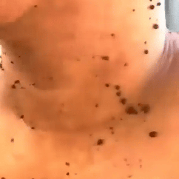 Untitled2-ezgif.com-video-to-webp-converter.webp